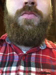 My Beard (not  shown: my face)